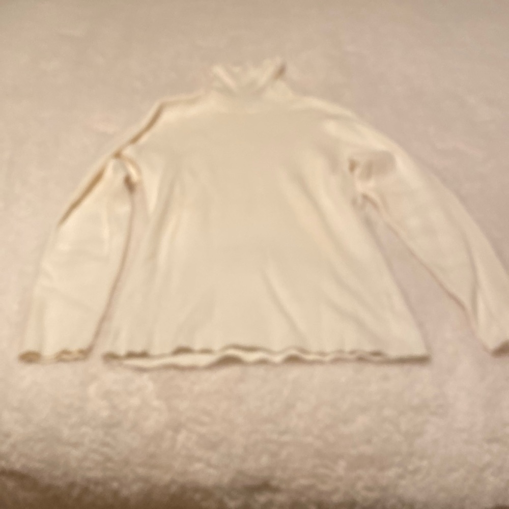 Style and Company turtleneck